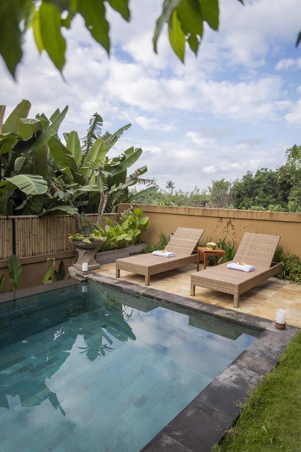 Umah Tikari Guesthouse Canggu Exterior foto