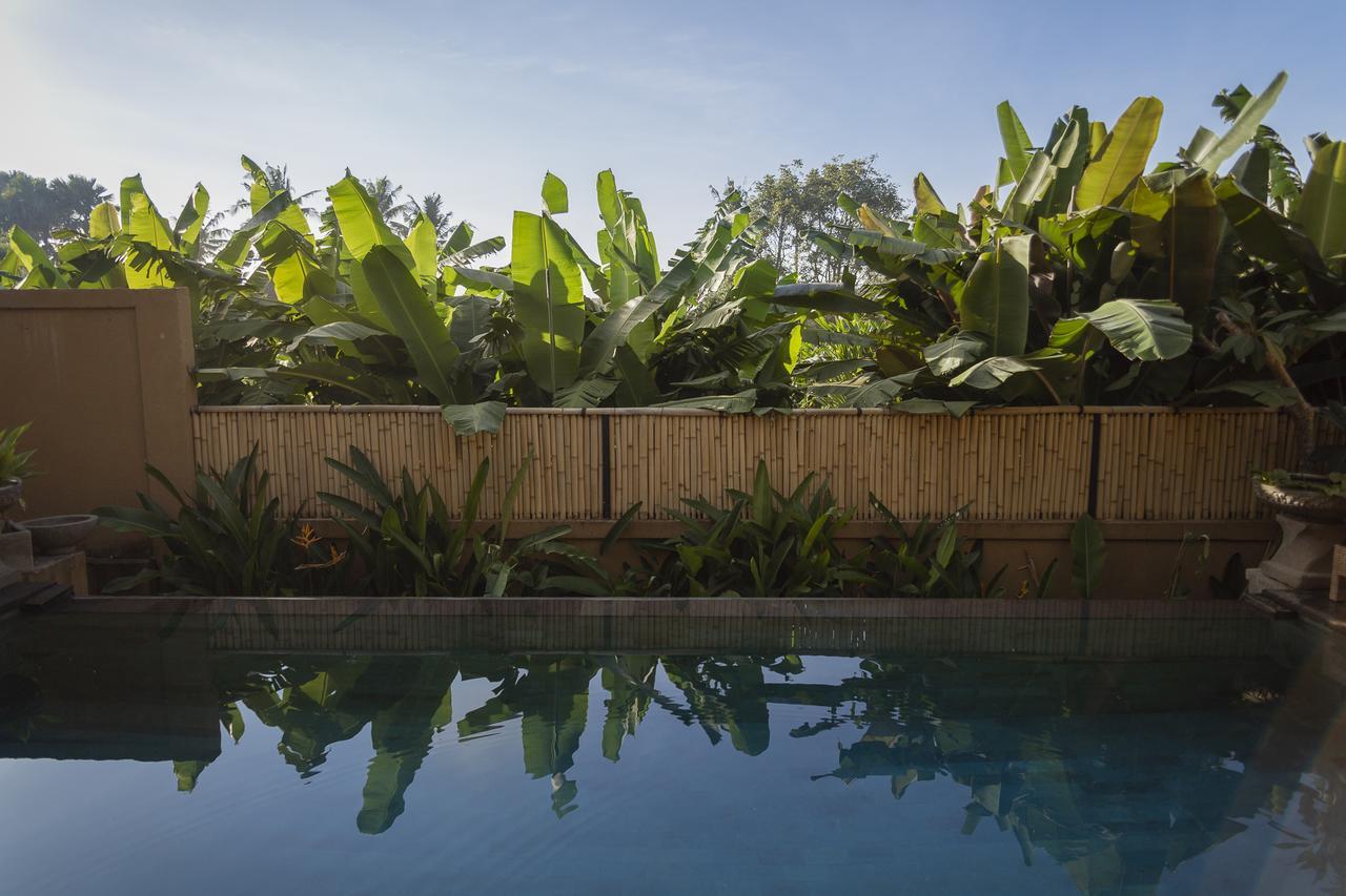 Umah Tikari Guesthouse Canggu Exterior foto