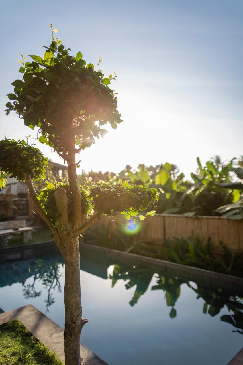 Umah Tikari Guesthouse Canggu Exterior foto